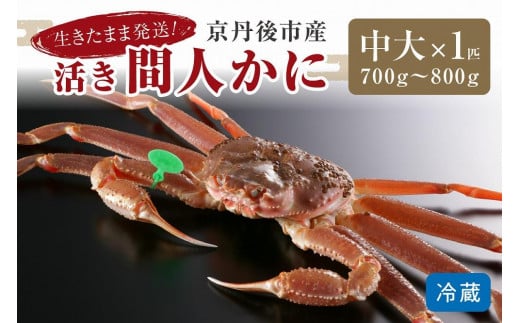 かに卸し問屋がお届け・浜競り厳選!幻の活間人ガニ 700g〜800g 中大サイズ(11月発送)/北畿水産 松葉ガニ 松葉蟹 松葉がに 松葉かに ズワイガニ 活ガニ 生ガニ 活きたまま 活き HK0022