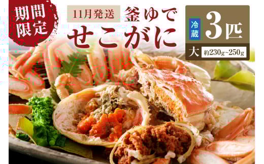 【期間限定・冬の味覚!】釜ゆでせこがに 大サイズ (230g〜250g) 3匹入り (11月発送)/北畿水産 HK00258京都府京丹後市55000魚介・海産物カニ