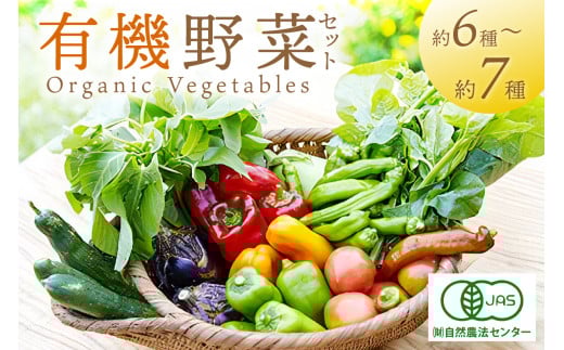 ĂƂނ΂I[KjbN؃Zbg@L@6`7(2lp)@ _ƒ s  L@ I[KjbN Zbg lߍ킹 ؃Zbg Y sY@BR00058s{O