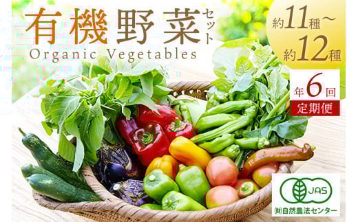 【年6回定期便】<てんとうむしばたけ>オーガニック野菜セット 有機野菜11〜12種(4人用) 定期便  農家直送 京都直送 野菜 有機野菜 オーガニック セット 詰め合わせ 野菜セット 国産 京