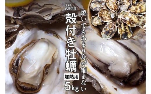 京都・久美浜産 殻付き牡蠣 5kg(50個前後)【加熱用】牡蠣ナイフ付 人気 国産 正規品 大粒 肉厚 養殖牡蠣 贈り物 ふるさと 納税 牡蠣 牡蛎 ふるさと 納税 かき カキ 海鮮 貝 牡蠣 海のミ