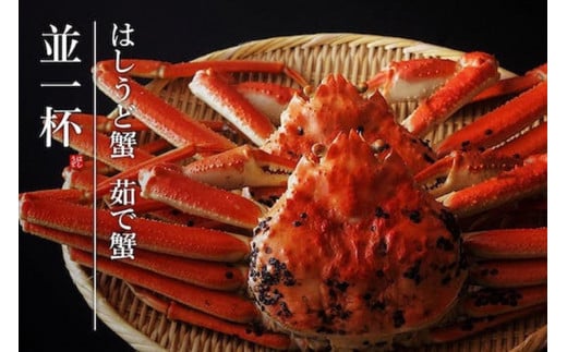 【創業明治元年 間人 炭平旅館の味】はしうど蟹 800g級 茹で蟹 並1杯【2026年発送】 茹で松葉ガニ 松葉蟹 蟹 かに カニ ガニ 京都 京丹後 京丹後市 すみへい スミヘイ たいざ 極上 格別