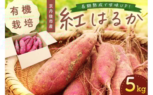 <てんとうむしばたけ>有機さつまいも 5kg (紅はるか) BR00030京都府京丹後市13000野菜・きのこじゃがいも・イモ類