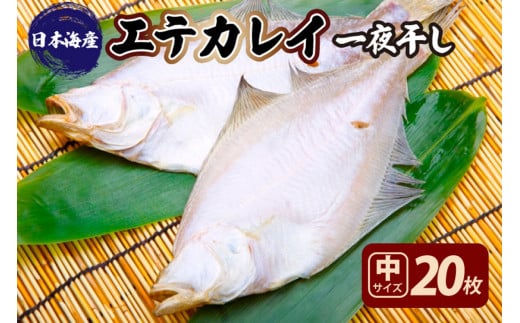 【店主一押し!絶品干物!高リピート!】エテカレイ一夜干し 中サイズ(朝食サイズ)20枚 YK00153京都府京丹後市11000魚介・海産物干物