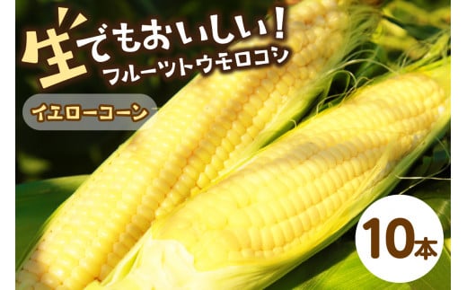 【先行予約】 生食も!高糖度!もぎたて! フルーツトウモロコシ「イエローコーン」(2026年6月下旬〜発送) DE00135京都府京丹後市13000野菜・きのことうもろこし