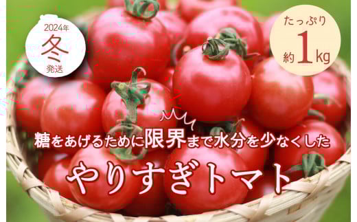 ys\z肷g}gi4pbNv1kgji~Gji2025N12{ȍ~j@DE00133s{Os11000؁Êg}g