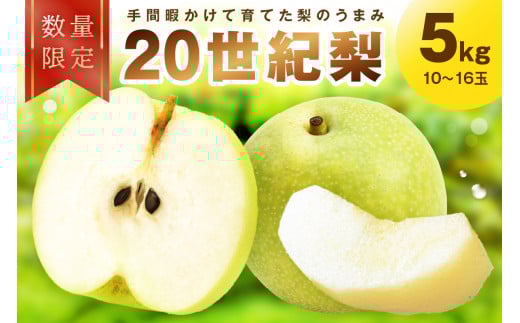 ys\^ʌ100zI@5kgi2026N9{`j20I \I  5kg@FK00014s{Os15000ʕEt[c񂲁E