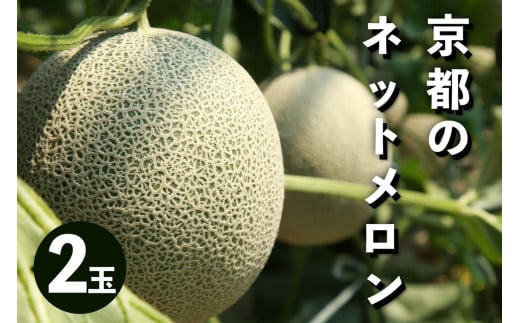 【先行予約/数量限定50】アールスメロン(ネットメロン) 2玉(2026年7月上旬〜発送) NG00014京都府京丹後市22000果物・フルーツメロン・スイカ