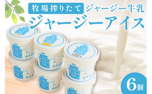 丹後ジャージー牧場直送!搾りたてジャージー牛乳から作る濃厚ミルクのジャージーアイス6個セット 食べ比べ 詰め合わせ ミルク工房そら SORA そら アイス/スイーツ/濃厚/さっぱり TJ00002 [T