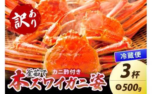 【大好評!カニ酢付き】訳あり!釜茹で!本ずわいがに姿 500g×3杯 YK00441京都府京丹後市33000魚介・海産物カニ