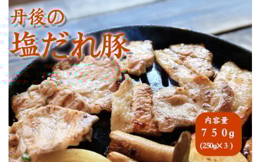トン’sキッチン 丹後の塩だれ豚焼き肉 TN00005京都府京丹後市11000肉豚肉