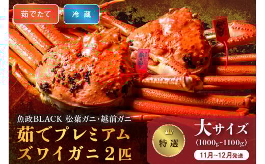 【蟹の匠 魚政】茹で プレミアムズワイガニ 魚政BLACK(松葉ガニ・越前ガニ)特撰 大サイズ(1000〜1100g) 2匹セット (11月〜12月発送)【土日祝】 松葉蟹 蟹 かに カニ ガニ がに ボイル 海