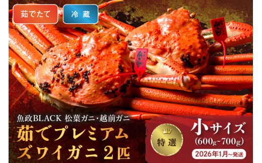 【蟹の匠 魚政】茹で プレミアムズワイガニ 魚政BLACK(松葉ガニ・越前ガニ)特撰 小サイズ(600〜700g) 2匹セット  (2026年1月〜発送)【土日祝】 松葉蟹 蟹 かに カニ ガニ がに ボイル 海