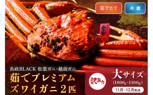 󂠂@yȈ z䥂Ł@v~AYCKj BLACKitKjEzOKjj TCYi1000`1100gj 2CZbg@y11`12Fz@tI I  Jj Kj  {C