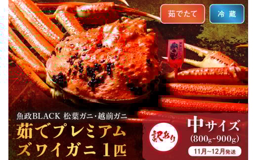 訳あり 【蟹の匠 魚政】茹で プレミアムズワイガニ 魚政BLACK(松葉ガニ・越前ガニ) 中サイズ(800〜900g) 1匹(11月〜12月発送)【11月〜12月発送:土日祝】UO01312京都府京丹後市60000魚介・海
