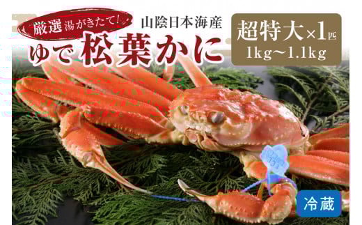 かに卸問屋がお届け・自社釜ゆで!山陰沖ゆで松葉がに 1kg〜1.1kg 超特大サイズ(12月発送)/北畿水産 松葉ガニ 松葉蟹 松葉がに 松葉かに ズワイガニ ボイル カニ 姿 ゆでかに HK00239