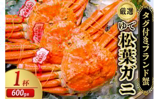 【先行予約】【厳選!タグ付きブランド蟹】茹で松葉かに(600g級×1杯)(2026年1月〜発送) YK00229京都府京丹後市40000魚介・海産物カニ