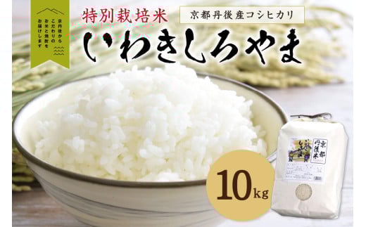 京都丹後産コシヒカリ特別栽培米 いわきしろやま 10kg IW00008京都府京丹後市20000米・パン白米