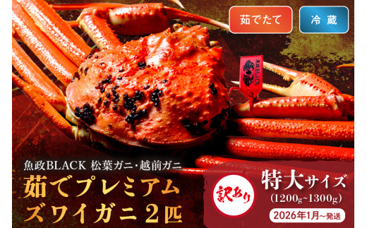 訳あり 【蟹の匠 魚政】茹で プレミアムズワイガニ 魚政BLACK(松葉ガニ・越前ガニ) 特大サイズ(1200〜1300g) 2匹セット 【2026年1月〜発送:土日祝】松葉蟹 蟹 かに カニ ガニ がに ボイ