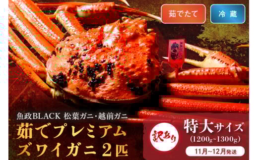 訳あり 【蟹の匠 魚政】茹で プレミアムズワイガニ 魚政BLACK(松葉ガニ・越前ガニ) 特大サイズ(1200〜1300g) 2匹セット【11月〜12月発送:土日祝】 松葉蟹 蟹 かに カニ ガニ がに ボイ