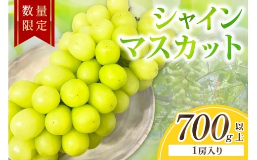 【先行予約/数量限定50】シャインマスカット 700g以上(1房入り)(2026年9月上旬〜発送) FK00016京都府京丹後市9000果物・フルーツマスカット・ぶどう