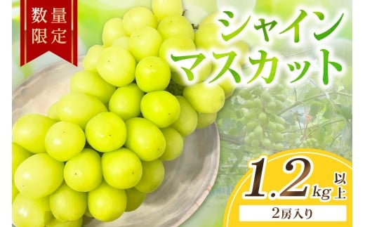 ys\^ʌ100zVC}XJbg 1.2kgȏi2[ji2026N9{`j@FK00017s{Os13000ʕEt[c}XJbgEԂǂ