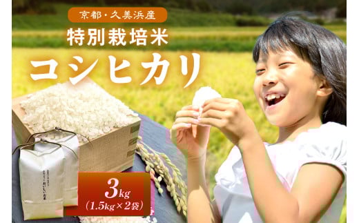 2025年産 京都・久美浜産 特別栽培米コシヒカリ 1.5kg×2袋 AL00007京都府京丹後市13000米・パン白米