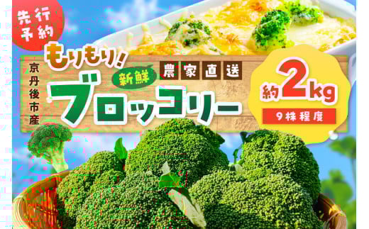 【先行予約】もりもり!ブロッコリー 約2kg(2025年11月上旬〜発送) 9株程度 冷蔵 農家直送 ぶろっこりー 野菜 京野菜 新鮮 MY00005京都府京丹後市6000野菜・きのこその他 野菜