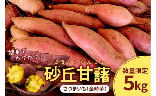 【先行予約/数量限定50】砂丘甘藷(さつまいも(金時芋)) 5kg(2025年12月上旬〜発送) JK00018京都府京丹後市14000野菜・きのこじゃがいも・イモ類