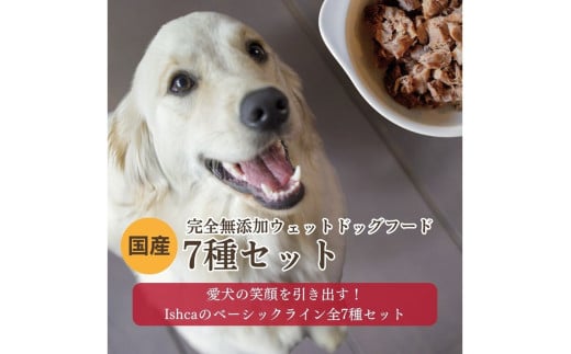 [YEFbghbOt[h] 7Zbg@IC00024s{Os26000ZbgE؁EHHȋ ZbgE؁EHHi