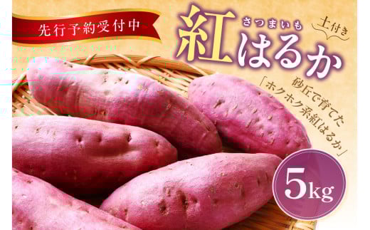 ys\^ʌ80zOY yt g͂邩i܂j 5kgi2025N11{`j@HF00008s{Os11000؁ÊႪEC