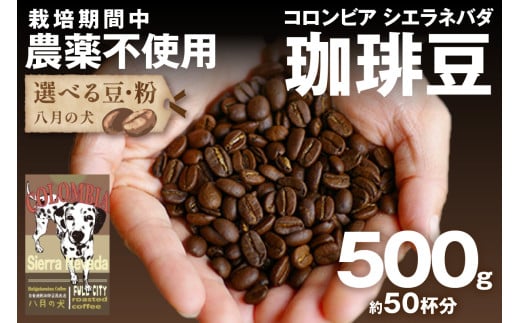 【栽培期間中農薬不使用】自家焙煎コーヒー豆 コロンビア シエラネバダ 500g(250g×2) 約50杯分 小分け 豆・粉 選べる HA00026京都府京丹後市13000お茶・飲料コーヒー・紅茶