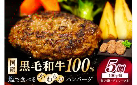 こだわり塩付/塩で食べるやわらかハンバーグ(デミグラスソース付)京たんくろ和牛入りの牛肉100% NH00040京都府京丹後市10000肉加工肉(ハム・ソーセージ等)