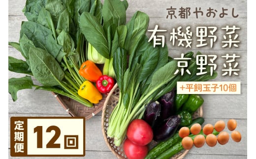 【定期便】合計12回お届け 有機野菜・京野菜の『京都やおよし』のお野菜&平飼玉子10個の詰め合わせ AA00036京都府京丹後市144000野菜・きのこその他 野菜