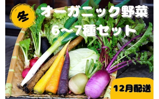 【先行予約:12月配送】<てんとうむしばたけ>冬のオーガニック野菜セット 有機野菜6〜7種前後 オーガニック 有機栽培 冬野菜 野菜 やさい 体にやさしい BR00057_12京都府京丹後市8000野菜・