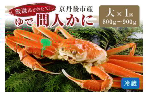 かに卸問屋がお届け・自社釜ゆで!幻のゆで間人ガニ 800g〜900g 大サイズ (1月〜3月発送)/北畿水産 松葉ガニ 松葉蟹 松葉がに 松葉かに ズワイガニ ボイル カニ 姿 ゆでかに HK00221京都