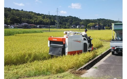京都・峰山長岡産 丹後こしひかり 玄米5kg MH00003京都府京丹後市13000米・パン玄米・雑穀米・もち米・餅