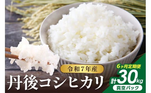 【6回定期便】令和7年産 丹後コシヒカリ 5kg(真空パック) NJ00002京都府京丹後市96000米・パン白米