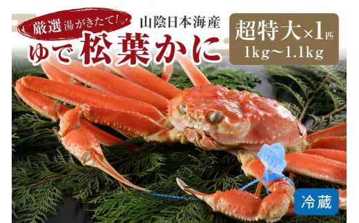 かに卸問屋がお届け・自社釜ゆで!山陰沖ゆで松葉がに 1kg〜1.1kg 超特大サイズ(1月〜3月発送)/北畿水産 松葉ガニ 松葉蟹 松葉がに 松葉かに ズワイガニ ボイル カニ 姿 ゆでかに H