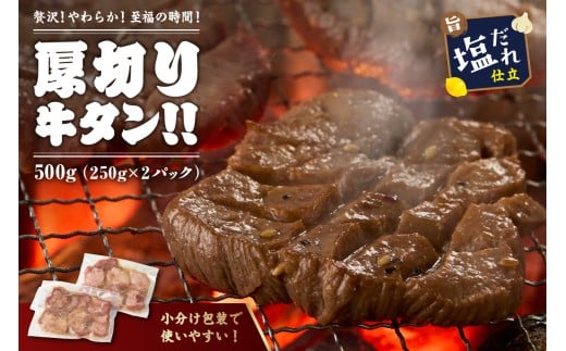 【訳あり】贅沢!やわらか!至福の時間!!厚切り塩だれ牛タン!!500g(250g×2パック)(2026年1月上旬〜発送) YK00464京都府京丹後市9000肉牛肉
