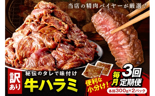 【定期便】【訳あり】牛ハラミ(サガリ) 秘伝のタレ込み 味付け肉 600g(300g×2パック)【定期便 毎月×3回】 YK00470京都府京丹後市22000肉牛肉