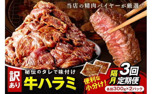 【定期便】【訳あり】牛ハラミ(サガリ) 秘伝のタレ込み 味付け肉 600g(300g×2パック)【定期便 隔月×3回】 YK00471京都府京丹後市22000肉牛肉