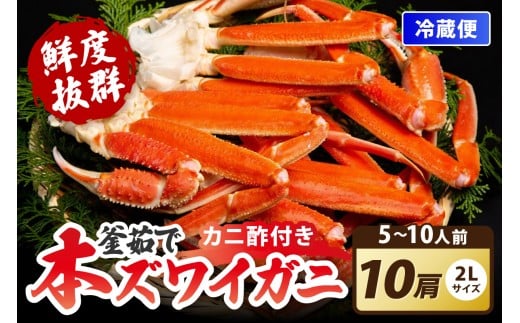 【ゆでたて冷蔵便】大好評!カニ酢付き 厳選!!釜茹で 本ズワイガニ 2Lサイズ10肩 YK00410_11京都府京丹後市44000魚介・海産物カニ