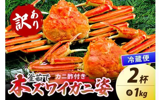【大好評!カニ酢付き】訳あり!釜茹で!特大本ずわいがに姿 1kg×2杯 YK00485京都府京丹後市40000魚介・海産物カニ
