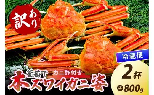 yD]IJj|tz󂠂I䥂ŁI{킢Ɏp 800g×2t@YK00488s{Os34000ECYJj