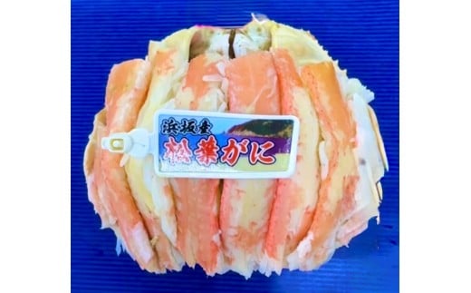 tKj bL 1@SK00182s{Os32000ECYJj