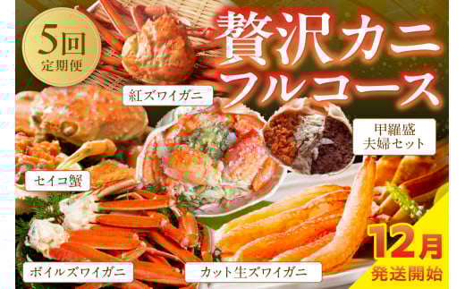 店主厳選!おすすめ贅沢カニフルコース(セイコ蟹3杯・カット生ズワイガニ4肩・ボイルズワイガニ4肩・ベニズワイ蟹2杯・甲羅盛夫婦セット) YK00241京都府京丹後市80000魚介・海産物カニ