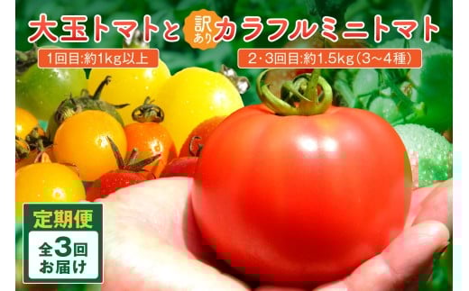 y3ցzOY ʃg}gE󂠂Jt~jg}gi2026N5{`j@MY00014s{Os20000؁Êg}g