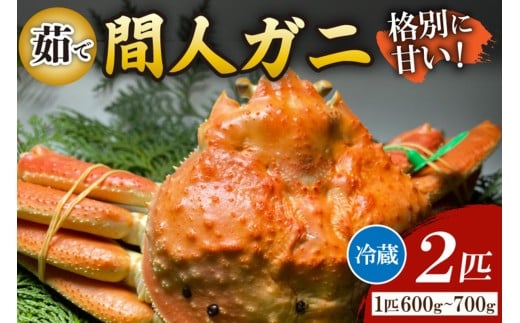 Ԑl`l̊ۗFNOځE̊ԐlKj䥂Ł[ 1C 600`700g×2C]@MG00006s{Os160000ECYJj