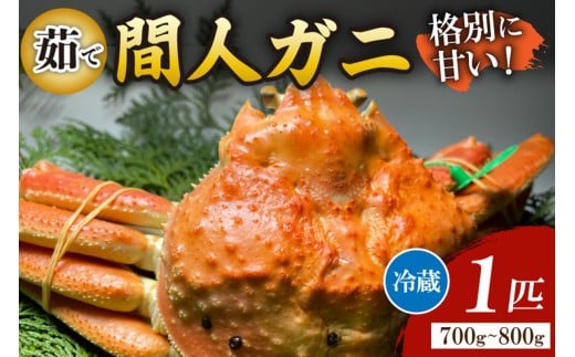 Ԑl`l̊ۗFNOځE̊ԐlKj䥂Ł[1C 700`800g]@MG00007s{Os88000ECYJj